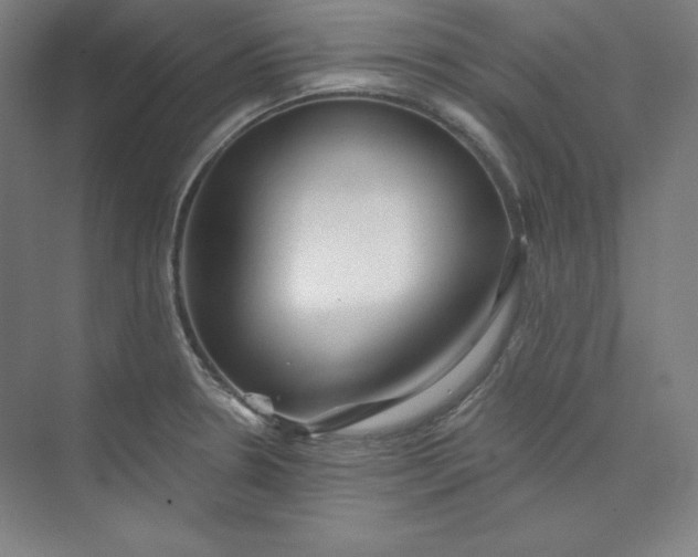 X0000073991330200609060947