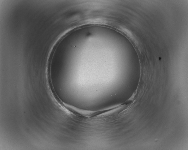 X0000073991331200609060948