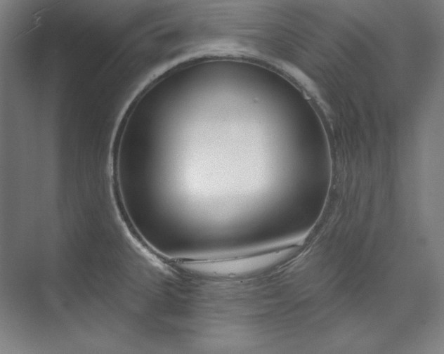 X0000073991335200609060948