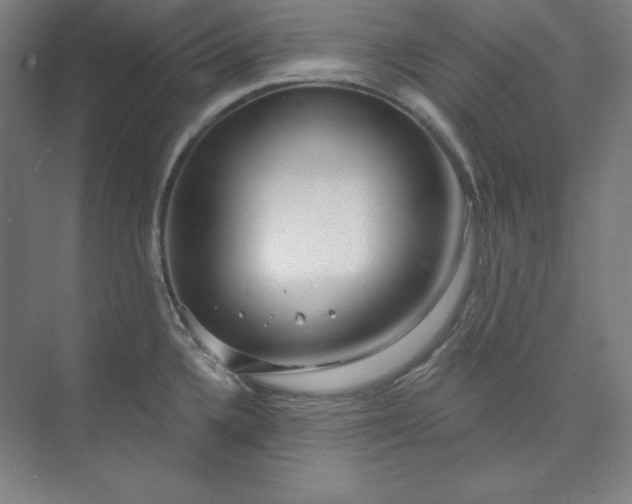 X0000073991336200609060948