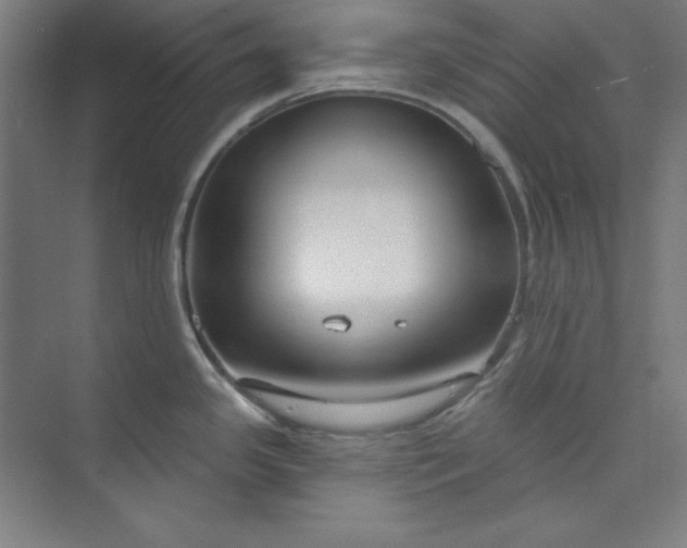 X0000073991341200609060948