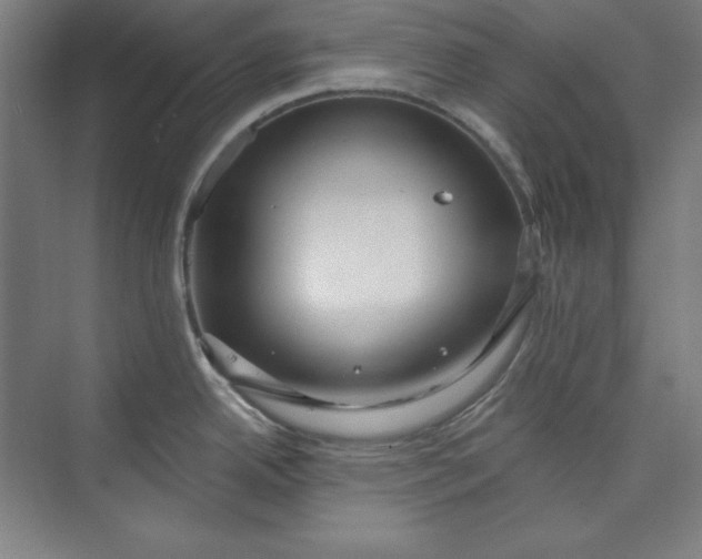 X0000073991342200609060948