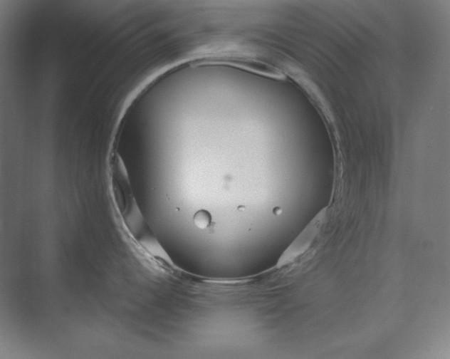 X0000073991344200609060948