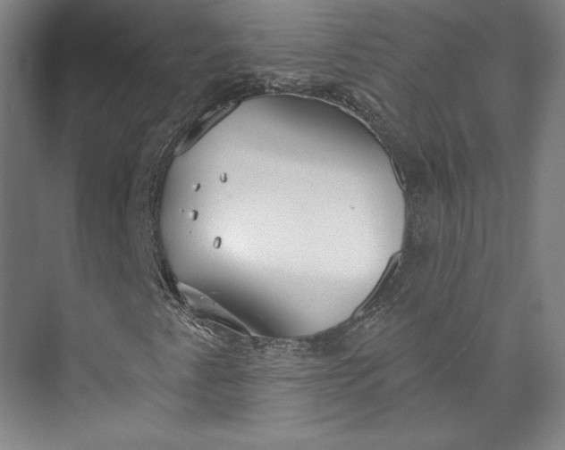 X0000073991345200609060947