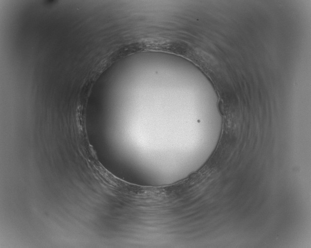 X0000073991346200609060947