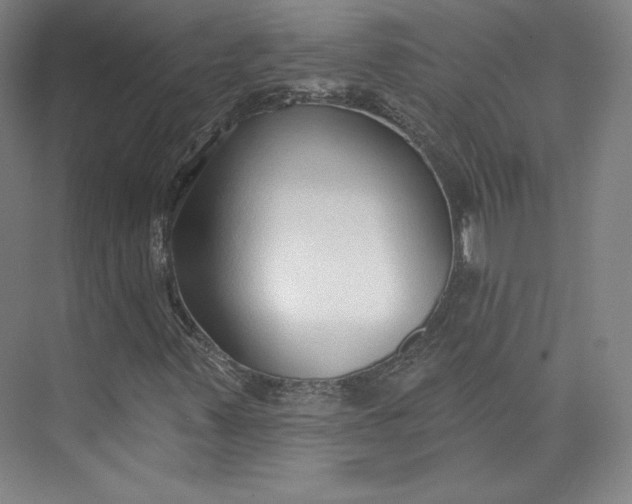 X0000073991347200609060947