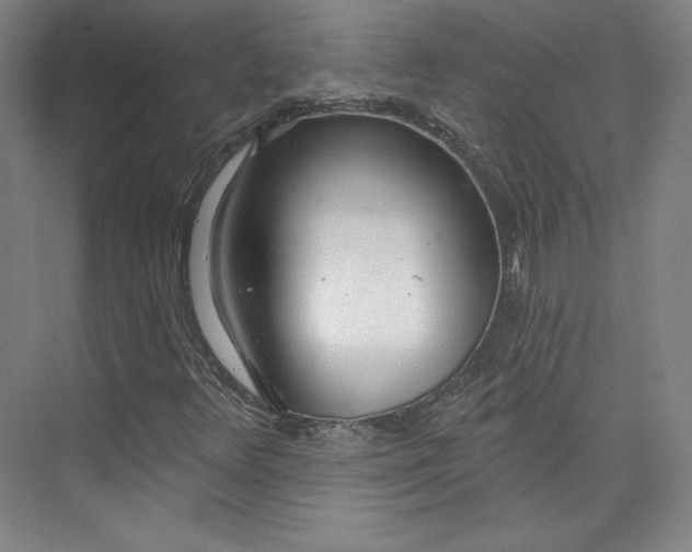 X0000073991348200609060947