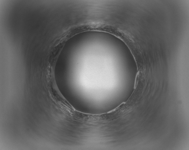 X0000073991349200609060947