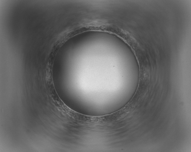 X0000073991350200609060947