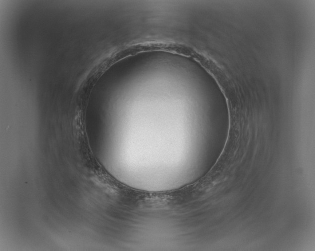 X0000073991351200609060947