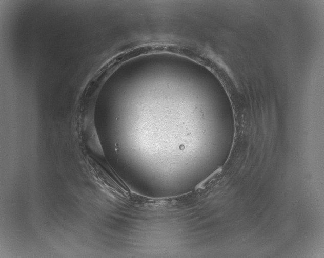 X0000073991352200609060947