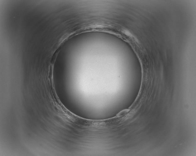 X0000073991353200609060947