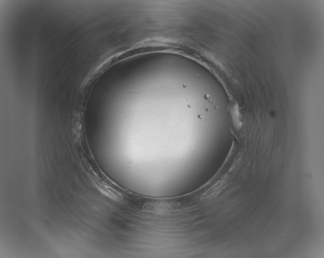 X0000073991355200609060947