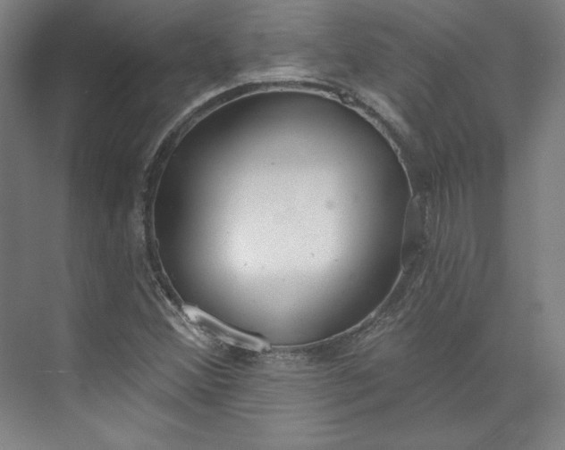 X0000073991356200609060947