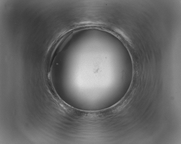 X0000073991357200609060947