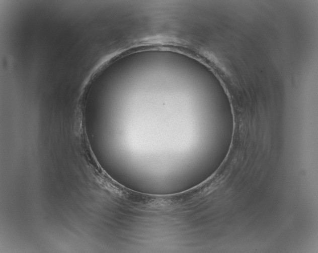 X0000073991358200609060947