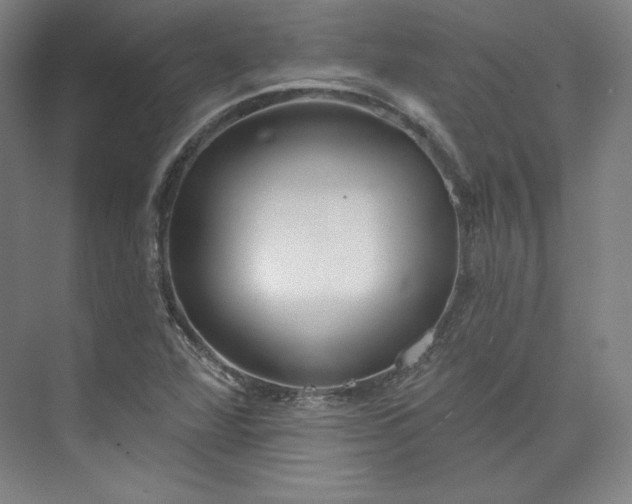 X0000073991360200609060947