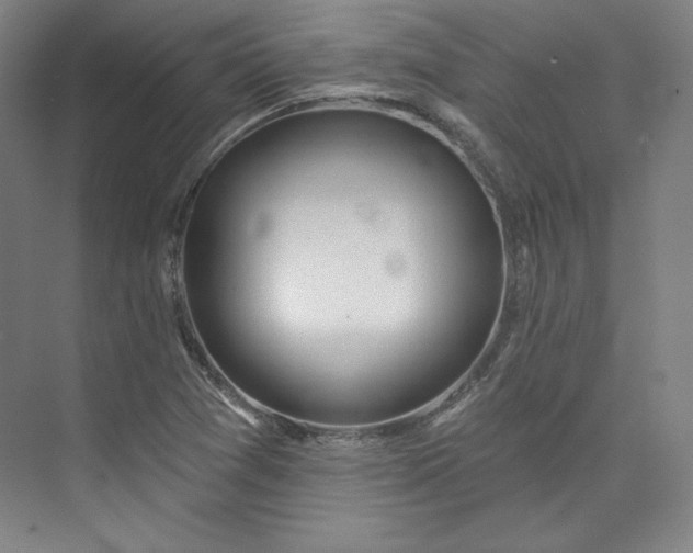 X0000073991361200609060947