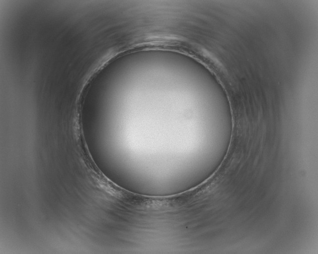 X0000073991362200609060947