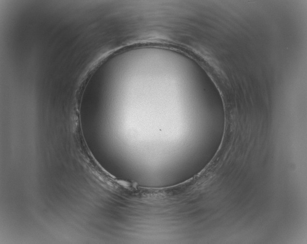 X0000073991363200609060947