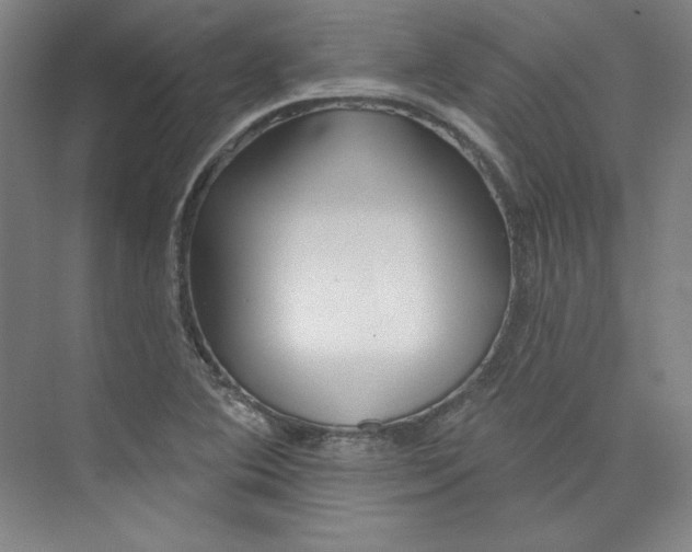 X0000073991364200609060947