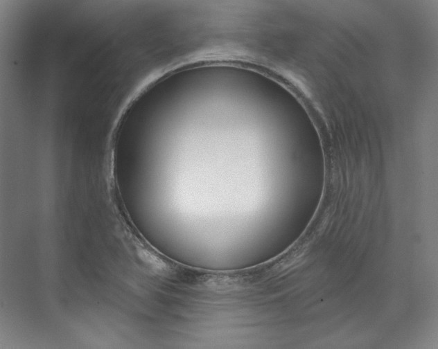 X0000073991366200609060947