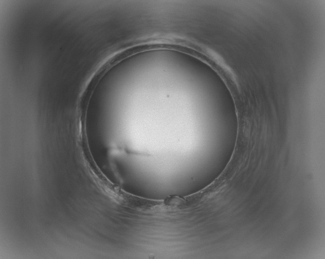 X0000073991368200609060947