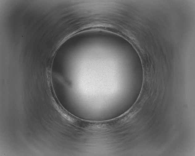 X0000073991369200609060947