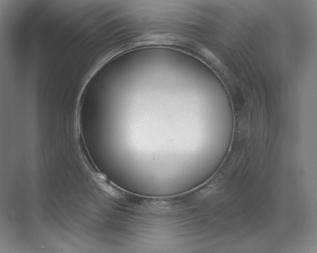 X0000073991370200609060947