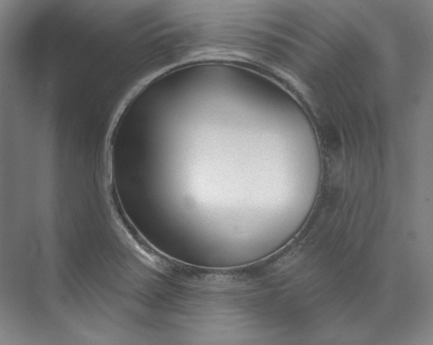 X0000073991371200609060946