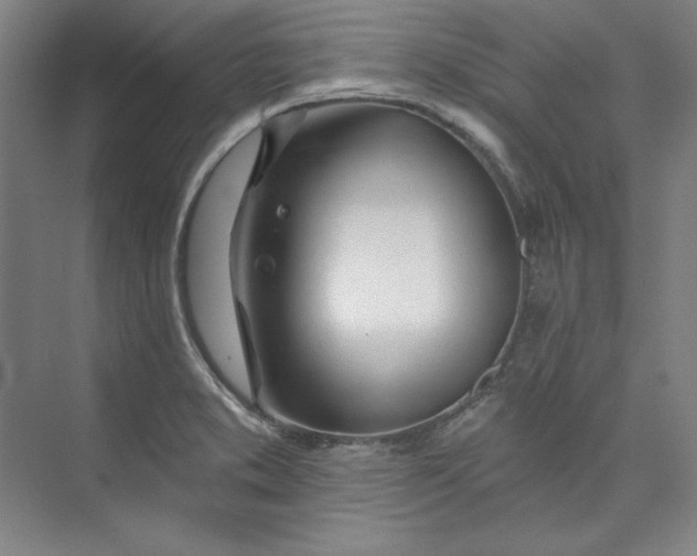 X0000073991373200609060946