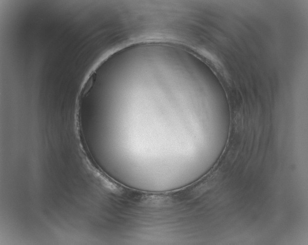 X0000073991374200609060946