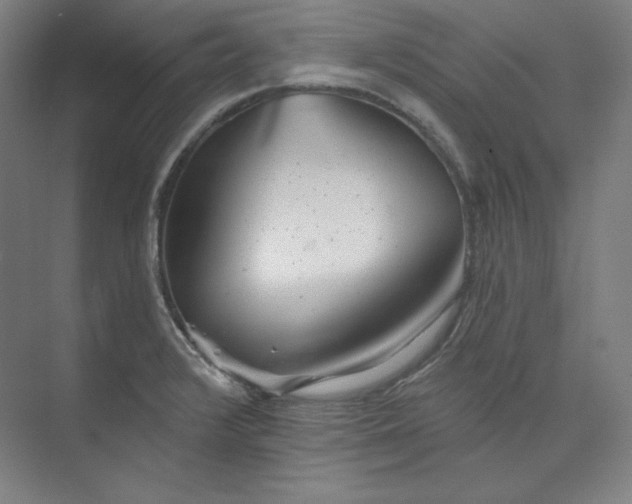 X0000073991376200609060946