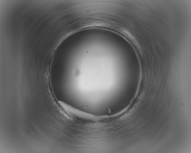 X0000073991377200609060946