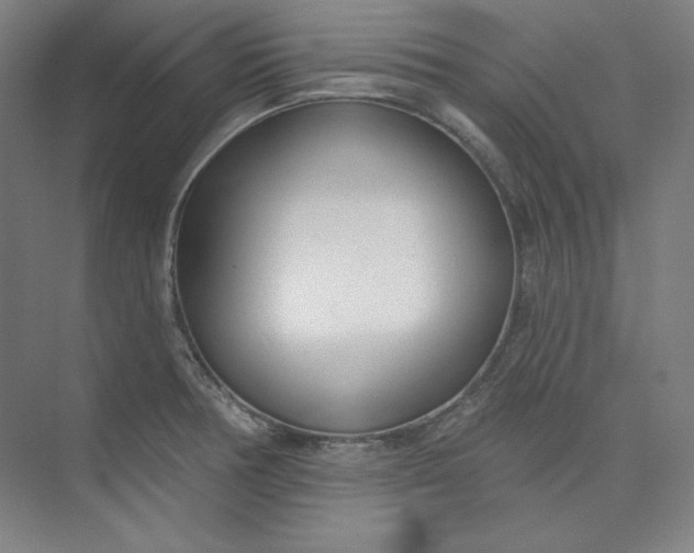 X0000073991378200609060946