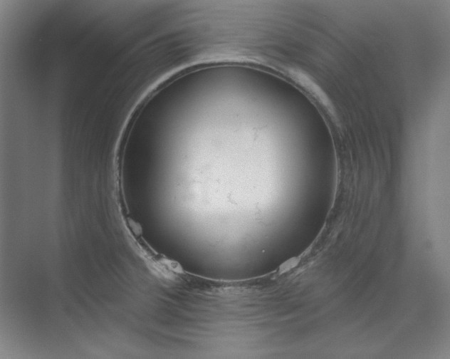 X0000073991380200609060946