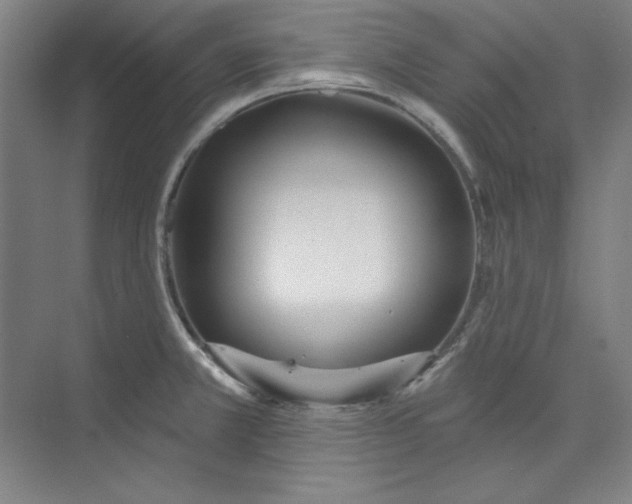 X0000073991381200609060946