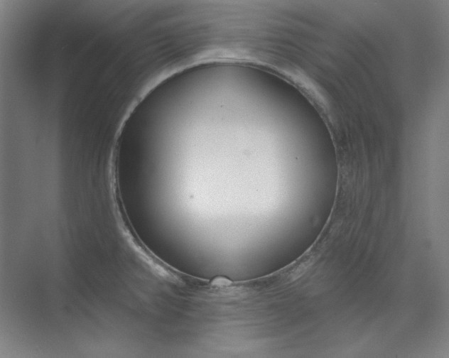 X0000073991382200609060946