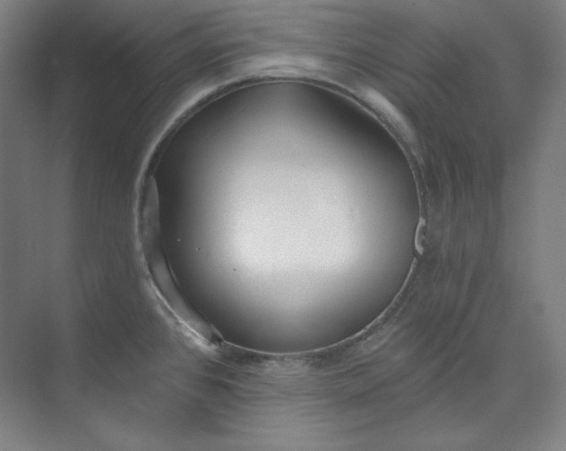 X0000073991384200609060946