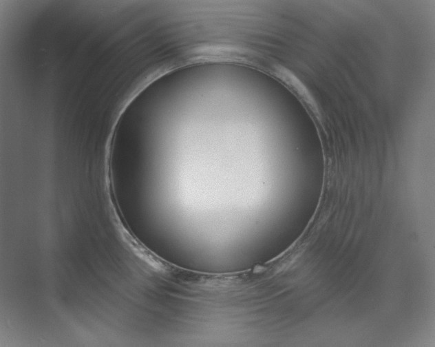 X0000073991386200609060946