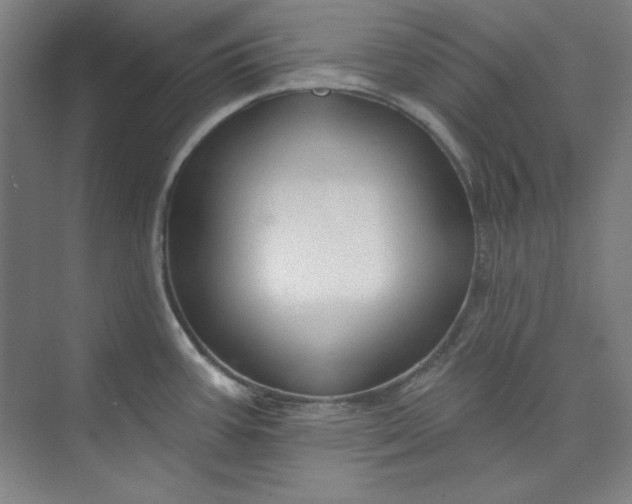 X0000073991387200609060946