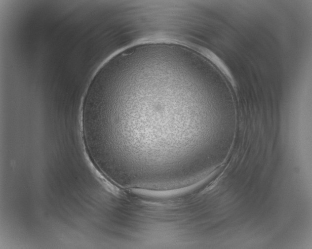 X0000073991388200609060946