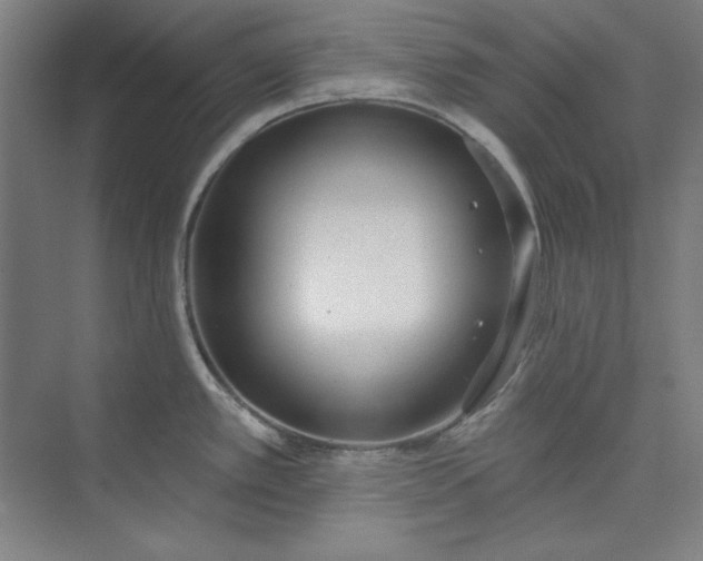 X0000073991389200609060946