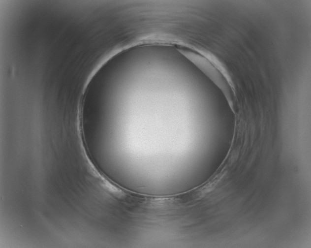 X0000073991390200609060946