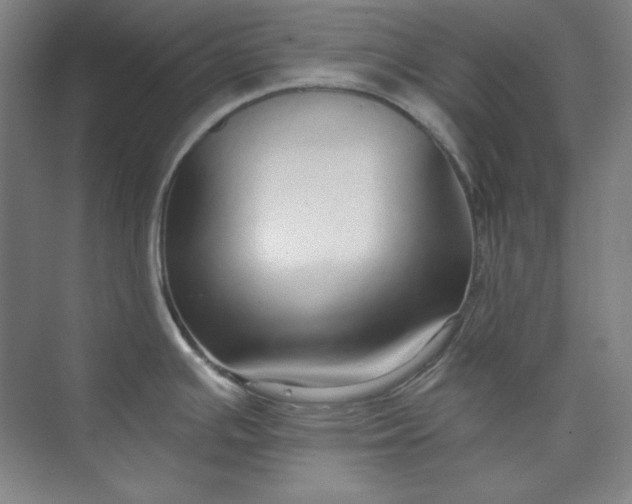 X0000073991391200609060946