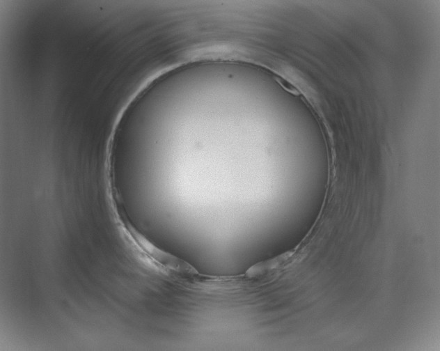 X0000073991392200609060946