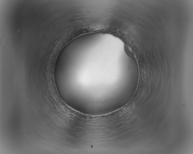 X0000073991393200609060945