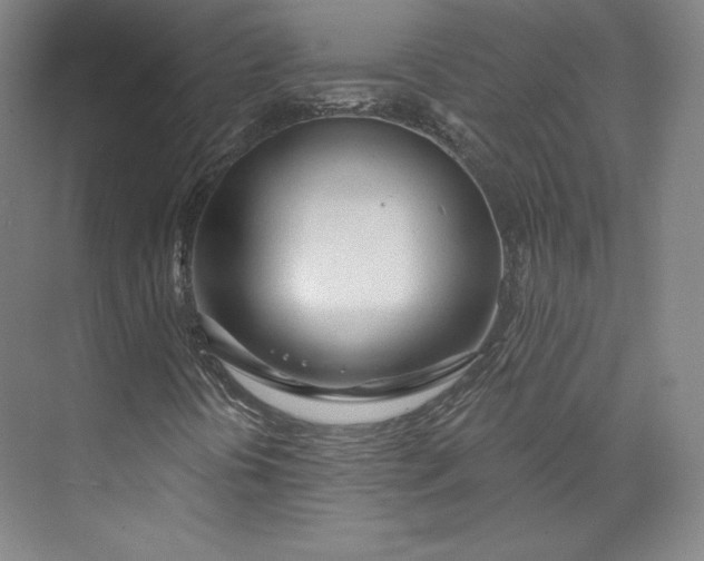 X0000073991394200609060945