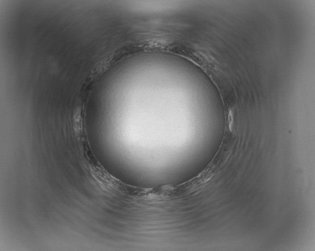 X0000073991395200609060945