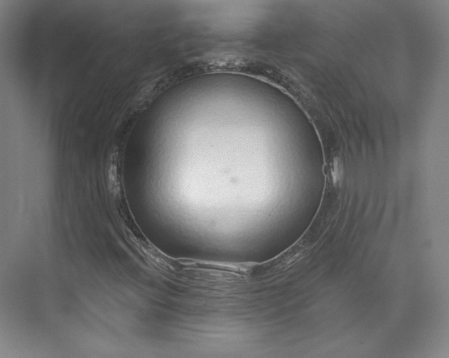 X0000073991396200609060945